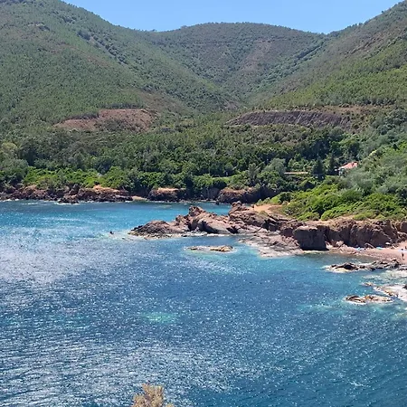 아파트 Cap Neree Petit Coin De Paradis Pieds Dans L Eau